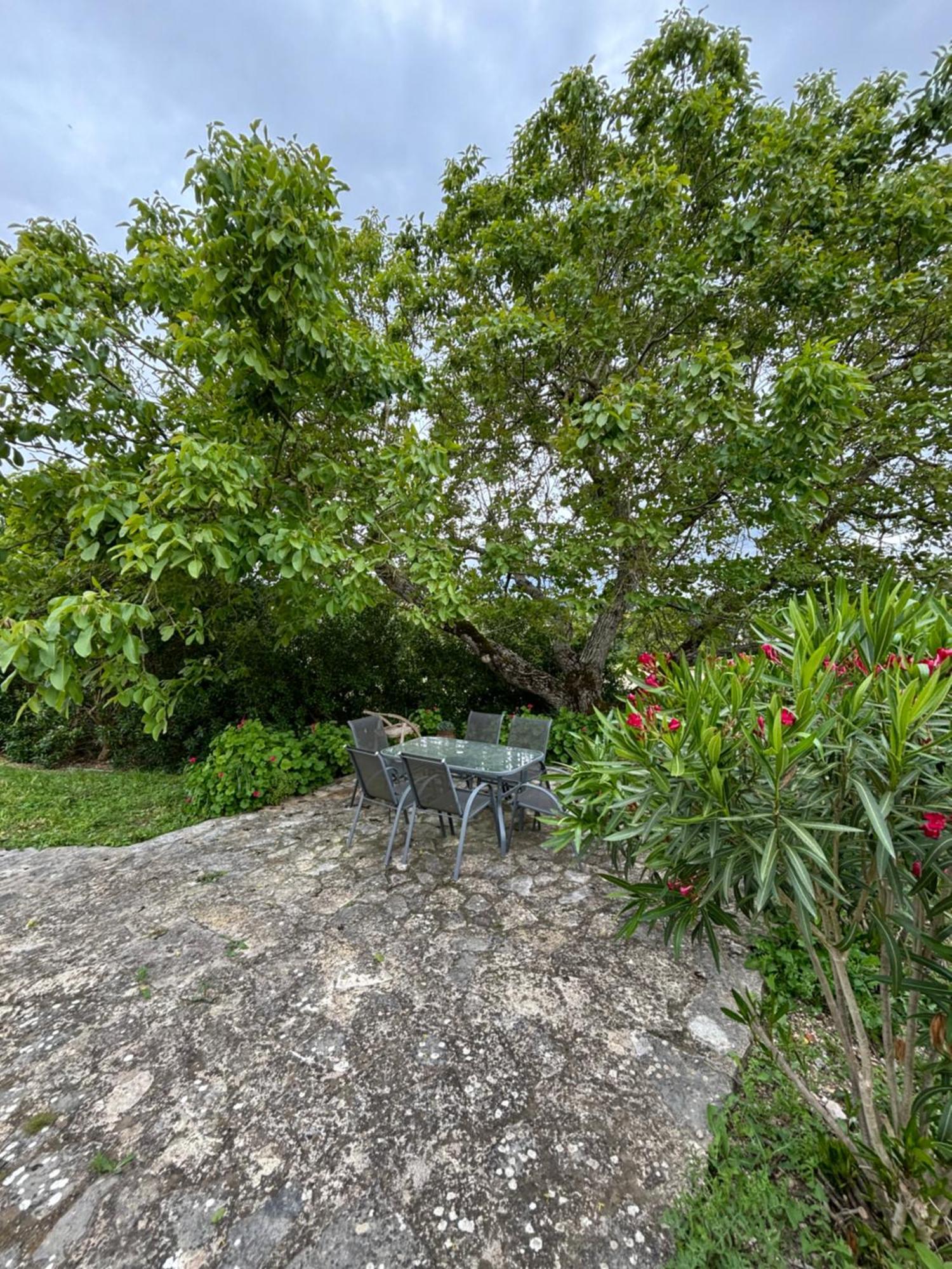 トマール Casa Da Nogueiraヴィラ エクステリア 写真